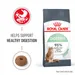 Royal Canin Digestive Care