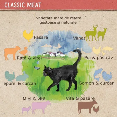 Varietate mare de rețete gustoase și naturale: pasăre, vânat, rață & vițel, pui & păstrăv, somon & curcan, iepure & curcan, miel & vită, vită & pasăre. Imagine cu pisică neagră.