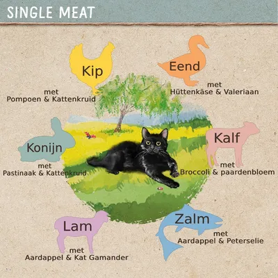Single Meat: Kip met pompoen & kattenkruid, Eend met hüttenkäse & valeriaan, Konijn met pastinaak & kattenkruid, Kalf met broccoli & paardenbloem, Lam met aardappel & kat gamander, Zalm met aardappel & peterselie.