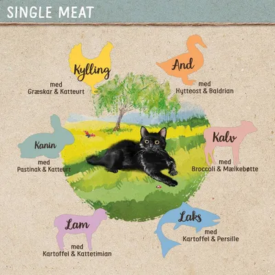 Single Meat: Kylling med græskar & katteurt, And med hytteost & baldrian, Kanin med pastinak & katteurt, Kalv med broccoli & mælkebøtte, Lam med kartoffel & kattetimian, Laks med kartoffel & persille.