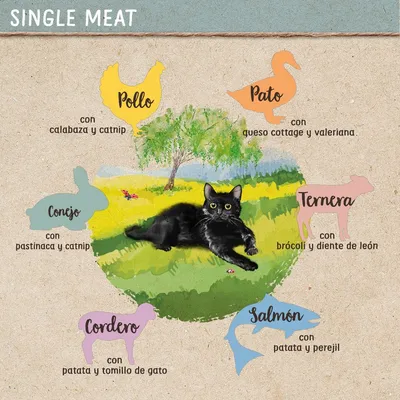 Variedades de comida para gatos: Pollo con calabaza y catnip, Pato con queso cottage y valeriana, Ternera con brócoli y diente de león, Conejo con pastinaca y catnip, Cordero con patata y tomillo de gato, Salmón con patata y perejil.