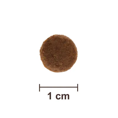 Croquette ronde de 1 cm de diamètre, vue du dessus, avec une règle indiquant la taille sous la croquette.