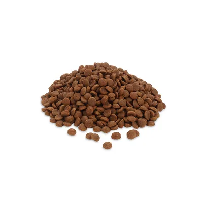 Braune Trockenfutter-Kroketten in einem Haufen, sichtbar ohne Verpackung.