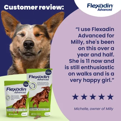 Flexadin Advanced Joint Care Supplement for Dogs - 60 Chews Flexadin Advanced Joint Care Supplement for Dogs - 60 Chews
