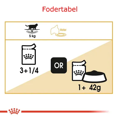 Fodertabel for kat på 5 kg: enten 3¼ poser vådfoder eller 1 pose vådfoder plus 42 g tørfoder. Vand anbefales. Synlige Royal Canin ikoner.