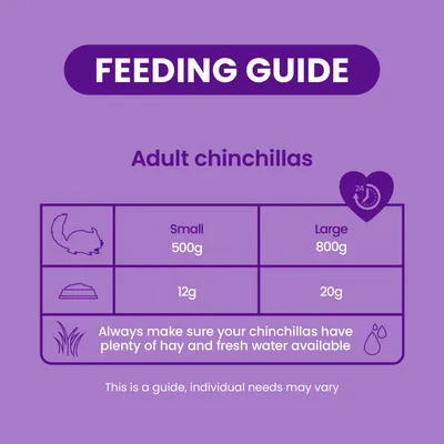 Burgess Excel Chinchilla Nuggets with Mint - 1.5kg Burgess Excel Chinchilla Nuggets with Mint - 1.5kg
