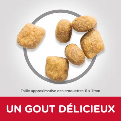 Croquettes, taille approximative 11 × 7 mm. Texte visible : UN GOUT DÉLICIEUX.