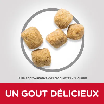 Taille approximative des croquettes 7 × 7,8 mm. Texte : UN GOUT DÉLICIEUX.