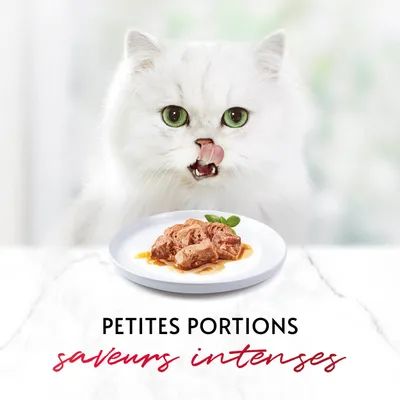 Petites portions saveurs intenses, assiette de nourriture humide en morceaux sur fond blanc. Texte visible : petites portions, saveurs intenses.