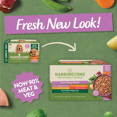 Harringtons pet food packaging update shown, highlighting new look and recipe with 90% meat and veg. Includes flavours: lamb, chicken, turkey, beef. Grain free recipes for adult pets.
