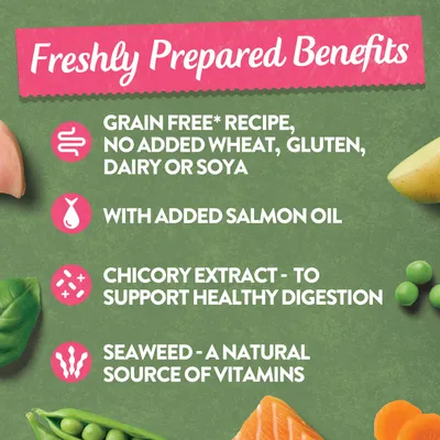 Freshly prepared benefits: grain free recipe, no added wheat, gluten, dairy or soya, with added salmon oil, chicory extract for healthy digestion, seaweed as a natural vitamin source.