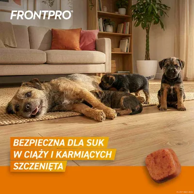 FRONTPRO® tabletki na pchły i kleszcze, dla psów od 4 do 10 kg FRONTPRO® tabletki na pchły i kleszcze, dla psów od 4 do 10 kg