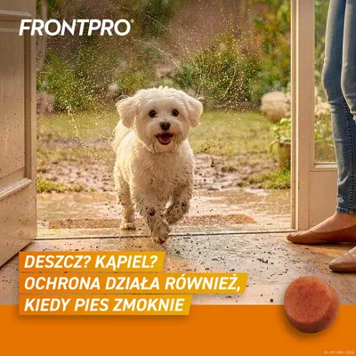 FRONTPRO® tabletki na pchły i kleszcze, dla psów od 2 do 4 kg