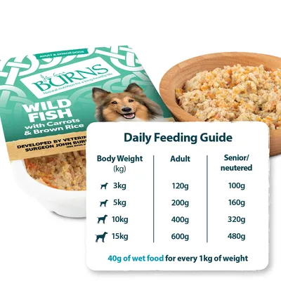 Daily feeding guide showing recommended wet food amounts by body weight: 3kg, 5kg, 10kg, 15kg for adult and senior/neutered. 40g of wet food per 1kg of weight.