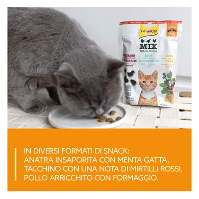 Il gatto mangia snack da un piatto, accanto confezione di GimCat Mix Snack con testo: Anatra con erba gatta, pollo con formaggio, tacchino con mirtilli rossi. Diversi formati di snack. Il gatto mangia snack da un piatto, accanto confezione di GimCat Mix Snack con testo: Anatra con erba gatta, pollo con formaggio, tacchino con mirtilli rossi. Diversi formati di snack.