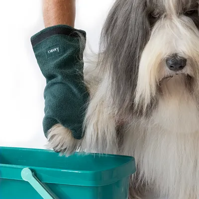 Hand mit grünem Reinigungshandschuh der Marke kooa reinigt die Pfote eines Hundes über einem Eimer.