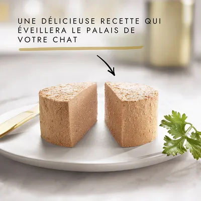 Texte : Une délicieuse recette qui éveillera le palais de votre chat. Deux parts de pâtée pour chat sur une assiette blanche, avec un brin de persil à côté.