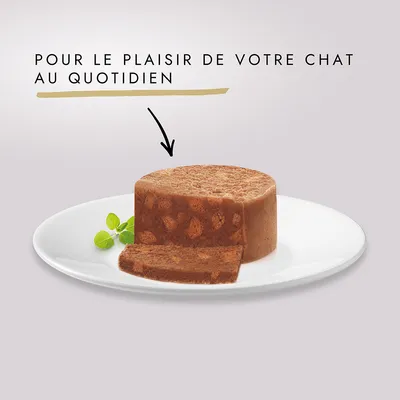 Texte : Pour le plaisir de votre chat au quotidien. Pâtée pour chat en forme de cylindre, une tranche coupée, servie sur une assiette blanche avec une feuille verte.