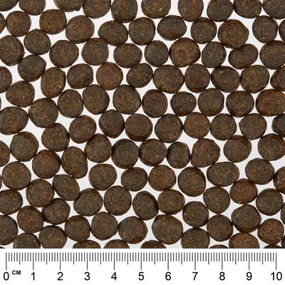 Nærbillede af brune, runde tørfoderstykker med centimeter-skala fra 0 til 10 nederst i billedet.