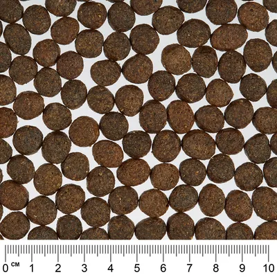 Vue rapprochée de croquettes rondes, diamètre environ 1,2 cm, alignées sur fond blanc avec règle graduée en centimètres pour référence de taille.
