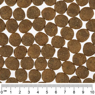 Detailný záber na hnedé, okrúhle kúsky suchého krmiva s mierkou v centimetroch na určenie veľkosti.