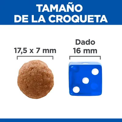 Comparativa de tamaño: croqueta 17,5 x 7 mm junto a dado azul de 16 mm. Texto superior: 'Tamaño de la croqueta'.