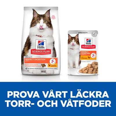 Hill's Science Plan Perfect Digestion Adult torrfoder och våtfoder med kyckling för katt. Text: Prova vårt läckra torr- och våtfoder.