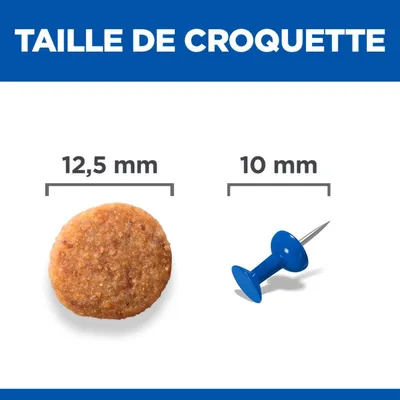 Comparaison des tailles : diamètre des croquettes 12,5 mm à côté d’une punaise de 10 mm de diamètre. Titre : Taille de croquette.