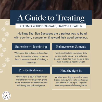 Hollings Pork & Black Pudding Bite-Size Sausages