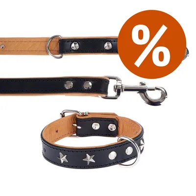 Set collare e guinzaglio - Heim Stars