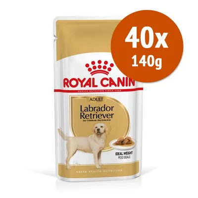 Royal Canin Adult Labrador Retriever, 40x140g, peso ideale. Immagine della confezione con cane e crocchette visibili.