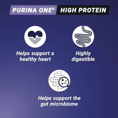 PURINA ONE High Protein Rich in Chicken - 650g PURINA ONE High Protein Rich in Chicken - 650g