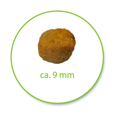 Single kibble piece with approximate diameter of 9 millimetres shown.