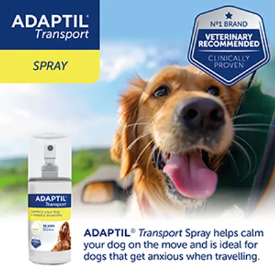 ADAPTIL Transport Spray, veterinary recommended, clinically proven. Helps calm your dog on the move and is ideal for dogs that get anxious when travelling.