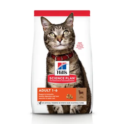 Hill's Science Plan Adult 1-6 con agnello, supporta immunità, digestione sana e muscoli magri nei gatti adulti. Testo in inglese sulla confezione. Immagine di un gatto sul fronte.