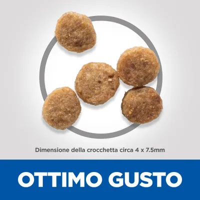 Cinque crocchette tonde, testo: Dimensione della crocchetta circa 4 x 7,5 mm. In basso scritta grande: OTTIMO GUSTO.