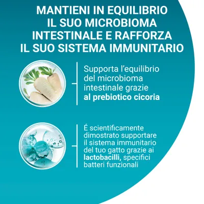 Mantieni in equilibrio il suo microbioma intestinale e rafforza il suo sistema immunitario. Prebiotico cicoria per l'equilibrio intestinale, lactobacilli per il sistema immunitario del gatto.