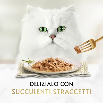 Gatto bianco con occhi verdi dietro un piatto di straccetti di carne; forchetta con straccetti. Testo visibile: Delizialo con succulenti straccetti.