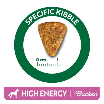 Triangular kibble piece with size scale 0–1 cm, green circle labelled 'Specific Kibble'. Text: 'High Energy with Chicken' beside dog icon.