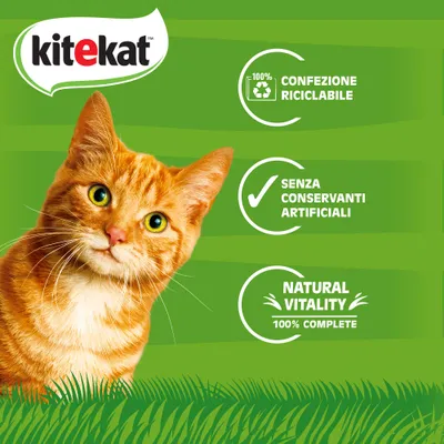 kitekat, 100% confezione riciclabile, senza conservanti artificiali, natural vitality 100% complete. Testo in parte in inglese.