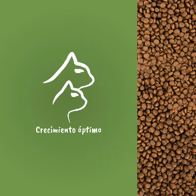 Texto visible: Crecimiento óptimo. Imagen de siluetas de perro y gato sobre fondo verde junto a croquetas de pienso marrón.