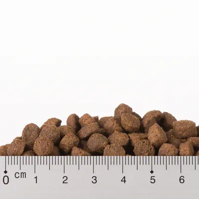 Smeđe okrugle granule suhe hrane za kućne ljubimce prikazane uz ravnalo s centimetarskom skalom od 0 do 6 cm radi prikaza veličine.