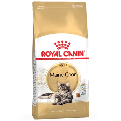 Royal Canin Adult Maine Coon cat food, specially for Maine Coon cats. Packaging shows a Maine Coon cat and indicates joint support.