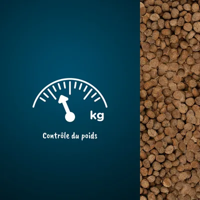Croquettes à droite, icône de balance avec aiguille et texte « Contrôle du poids » et « kg » à gauche. Indique une fonction liée au contrôle du poids.