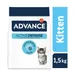 Advance Kitten pour chaton