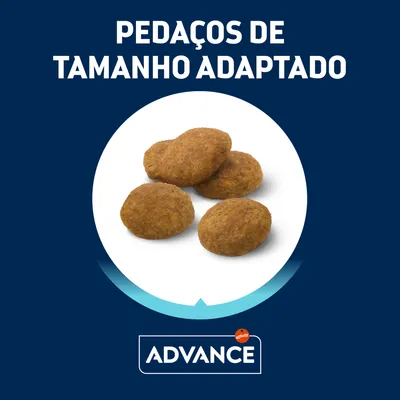 Pedaços de tamanho adaptado Advance. Quatro croquetes redondos visíveis ao centro, com o nome da marca Advance em destaque na parte inferior.