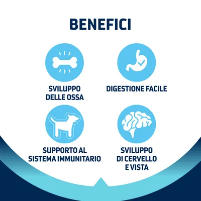 Testo: Benefici. Sviluppo delle ossa, digestione facile, supporto al sistema immunitario, sviluppo di cervello e vista.