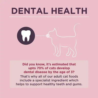 Dental health information: Up to 70% of cats develop dental disease by age 3. Adult cat foods include a specialist ingredient to support healthy teeth and gums.