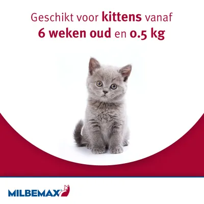 Geschikt voor kittens vanaf 6 weken oud en 0,5 kg. MILBEMAX merknaam zichtbaar onderaan.