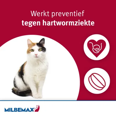 Werkt preventief tegen hartwormziekte. MILBEMAX. Afbeelding van een kat, hart met wormsymbool en tabletpictogram.